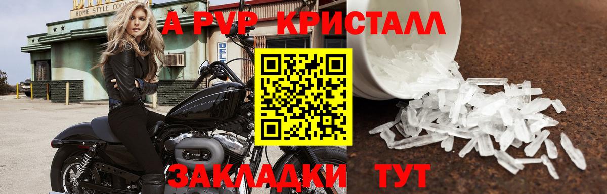 Махачкала  A PVP  Вход с VPN  Альфа ПВП СК КРИС 