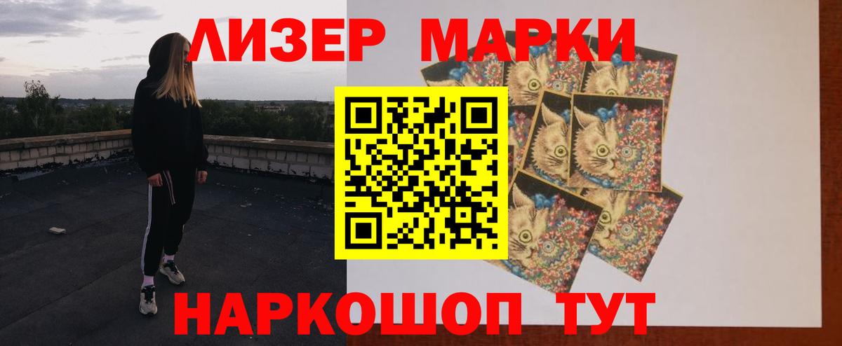 Галлюциногенные грибы Махачкала