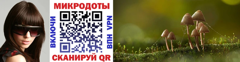 магазин наркотиков Махачкала blacksprut как зайти Псилоцибиновые грибы Psilocybe