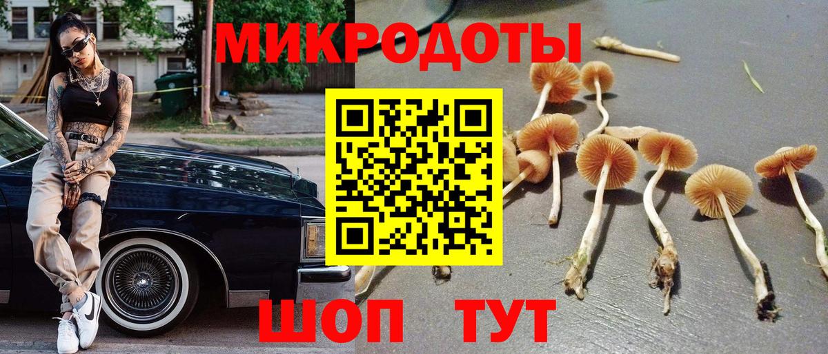 Псилоцибиновые грибы Cubensis  купить наркотики цена  Махачкала  Псилоцибиновые грибы мухоморы 