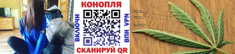 Шишки марихуана OG Kush  купить наркоту  Махачкала 